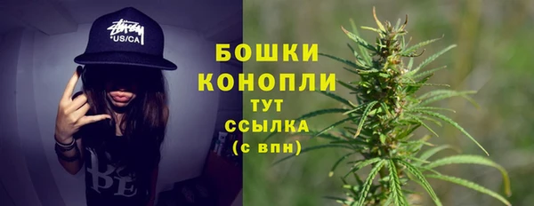твердый Медногорск