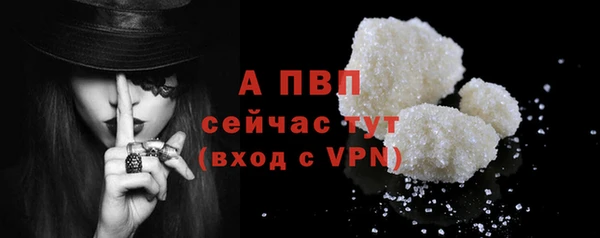 твердый Медногорск