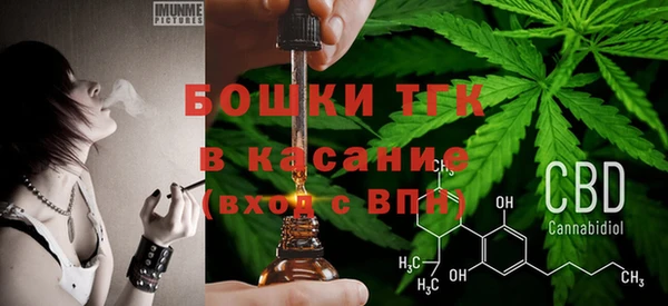 твердый Медногорск