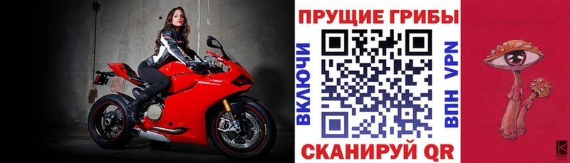 наркота  Калязин  Галлюциногенные грибы мухоморы 