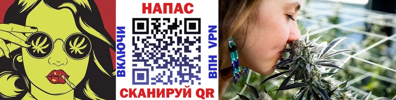 Конопля ГИДРОПОН  hydra ТОР  Калязин 